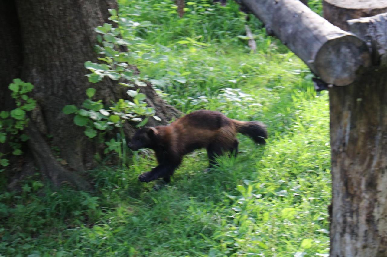 Bograngen Lgh B Daire Brograngen Dış mekan fotoğraf